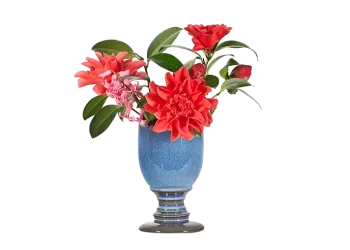 vase-calice-turquoise_1680389728